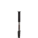 Benro Carbon Fiber Monopod MAD38C